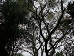 -飞霞风景名胜区