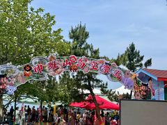 -西霞口神雕山野生动物世界