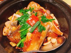 -大榕树下顺德菜(融创茂店)