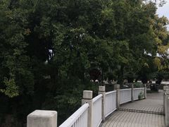 -永安龟山公园