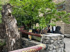 -金鼎雪山牦牛杂火锅(理县总店)