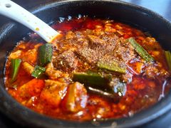 -陈麻婆豆腐总店
