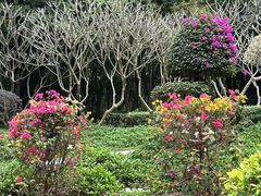 -天河儿童公园