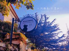 -八大关景区