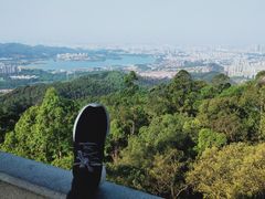 -水濂山森林公园