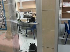 -谐和益家动物医院·免疫绝育·血液透析·宠保定点医院(高新伊藤分院)