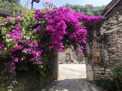 -高荡千年布依古寨旅游景区