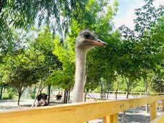 -水上乐园·欢乐世界