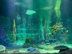 -沈阳海洋探索中心