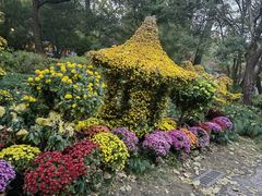 -杭州植物园
