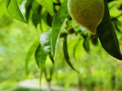 -上海交通大学(闵行校区)