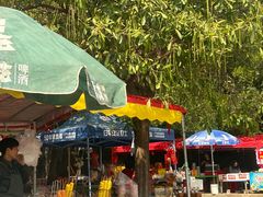 -草庵摩尼教遗址公园
