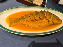 -金狮麟·新豫菜(金码大厦店)