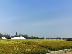 -中国天府农业博览园