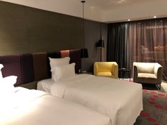 -南京禄口机场雅高铂尔曼大酒店