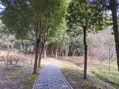 -东湖落雁景区