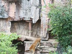 -长鹿旅游休博园