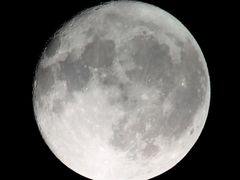 -孟记粥铺·家常菜·烧烤·粥(亚运村店)