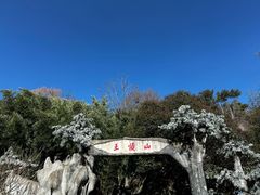 -王顺山国家森林公园