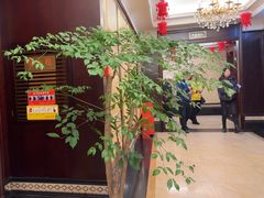 -小八仙·八方(移民广场店)