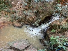 -滴水岩森林公园