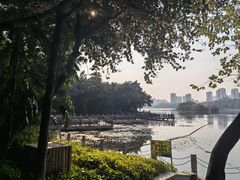 -南宁南湖公园