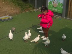 -黄龙溪欢乐田园