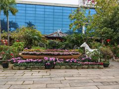 -花溪雨·森林餐厅(石基店)