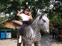 -辛玛王国游乐园