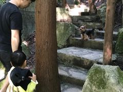 -山王坪喀斯特国家生态公园