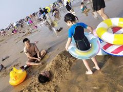 -日照海滨国家森林公园