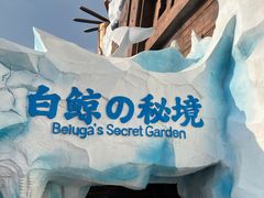 -秦皇岛乐岛海洋王国
