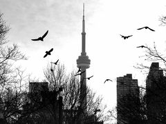 -360 The Restaurant at the CN Tower