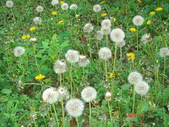 -江南大学(蠡湖校区)