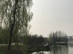 -秀丽东方