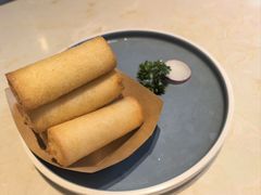-点都德·毕德寮