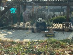 -大连森林动物园