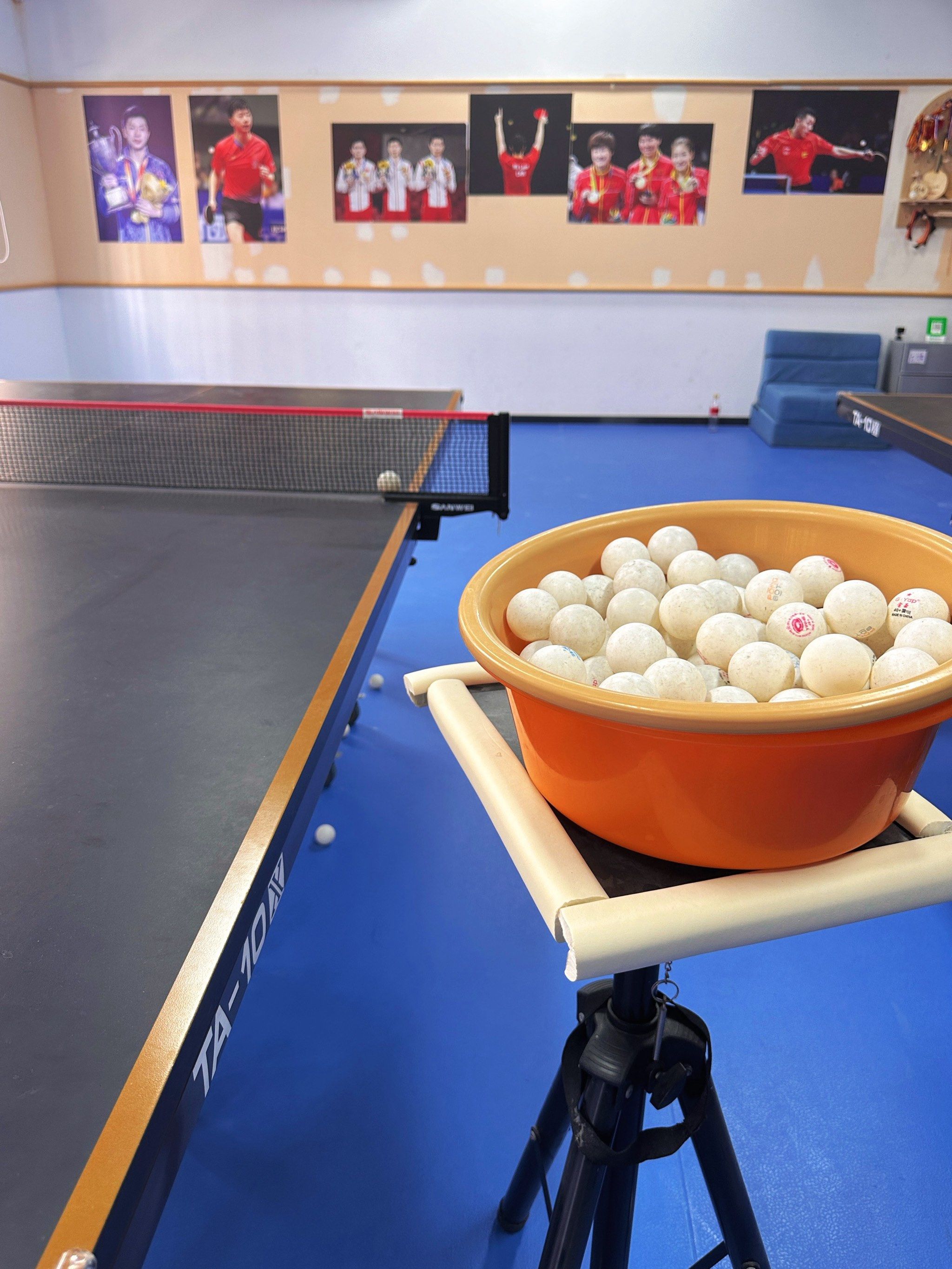 探店乒乓球馆🏓