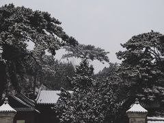 -阳台山自然风景区