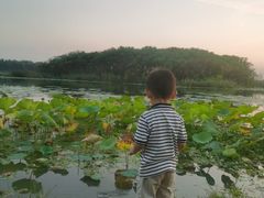 -丁香湖公园