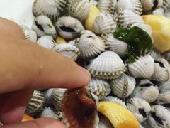 -胡须佬鸡煲四季火锅店(石厦西村直营店)