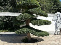 -廊坊市自然公园