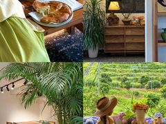 -东莞植物园