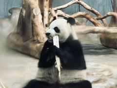 -海南热带野生动植物园