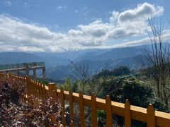 -炎陵县神农谷国家森林公园