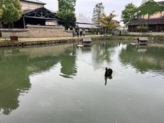 -乌村