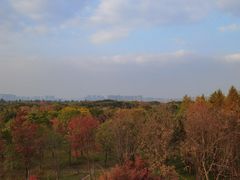 -贡湖湾湿地公园