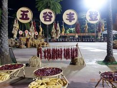 -珠海海泉湾神秘岛亲子乐园