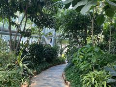 -郑州植物园