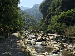-少华山国家森林公园